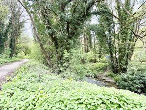 Local Area- click for photo gallery